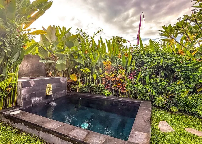 Padiku Semana Private Pool ベッド・アンド・ブレックファスト *